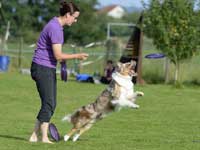 DiscDog-Events-Presse22k