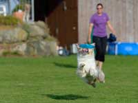 DiscDog-Events-Presse25k