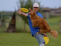 DiscDog-Events-Presse33k