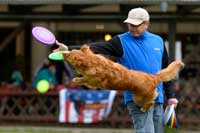 DiscDog-Events-Presse34k