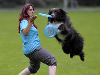 DiscdogEvents-Presse13k