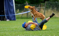 DiscdogEvents-Presse15k