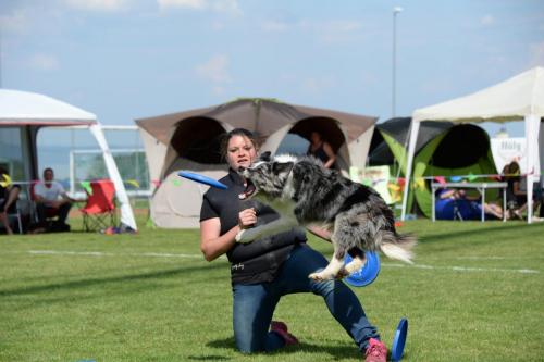 2018-05-12 DiscDogs  20
