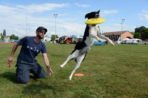 2018-05-12 DiscDogs  27