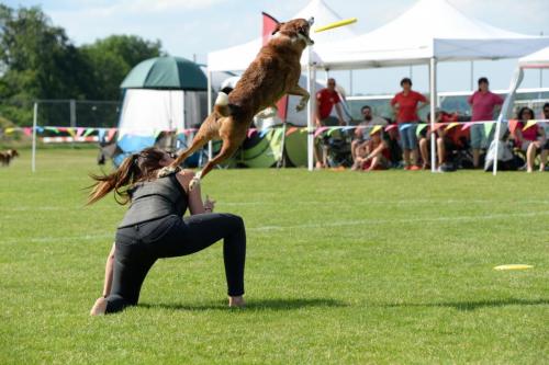 2018-05-12 DiscDogs  37