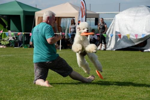 2018-05-12 DiscDogs  40