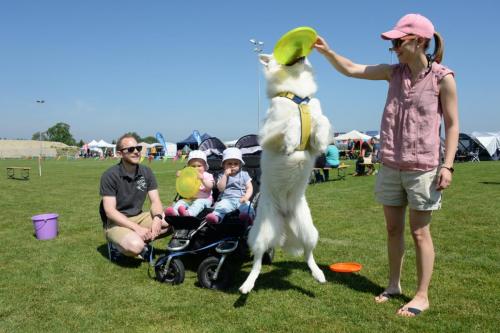 2018-05-12 DiscDogs  9